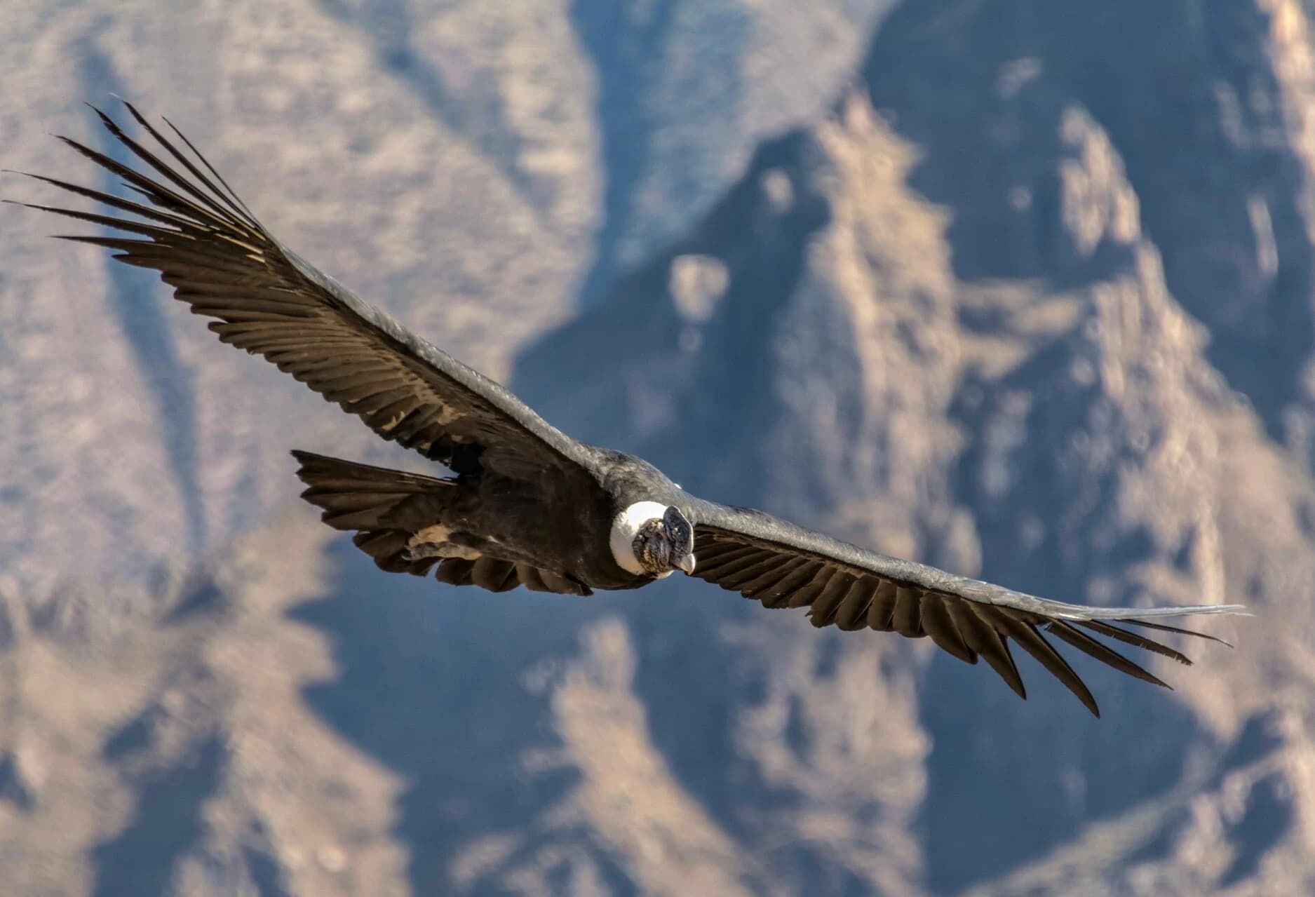 The Ultimate Active Peru: Salkantay Trek & Southern Circuit (17 Days) The Ultimate Active Peru: Salkantay Trek & Southern Circuit (17 Days)