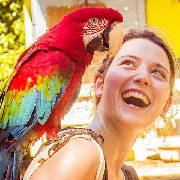 Aras en el ldge.webp